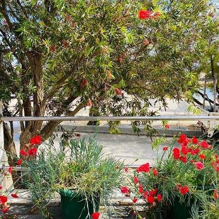 Apartments Vukman Сегет-Враница Экстерьер фото